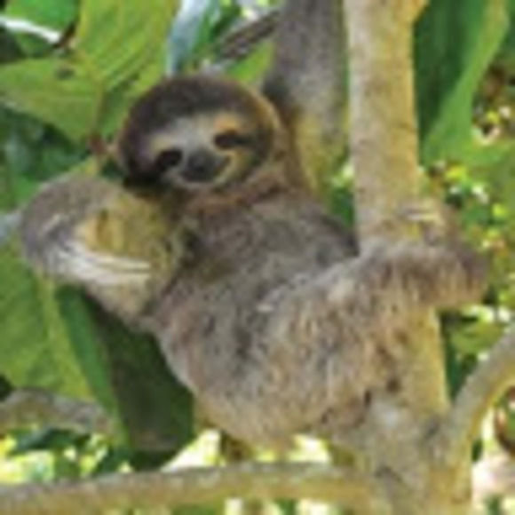 Meet your Posher, Bianca - Picture 1 of 1